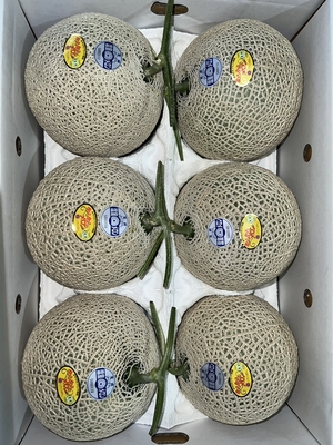 赤肉メロン　3L5玉 赤肉メロン 3L5玉