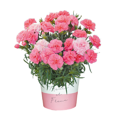 No.25　ひなあられ