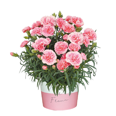 No.24　ティーパーティー