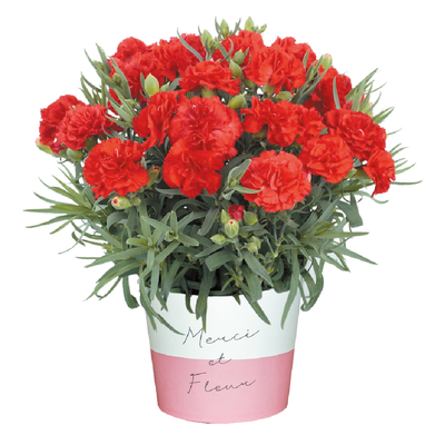 No.22　感謝の気持ち