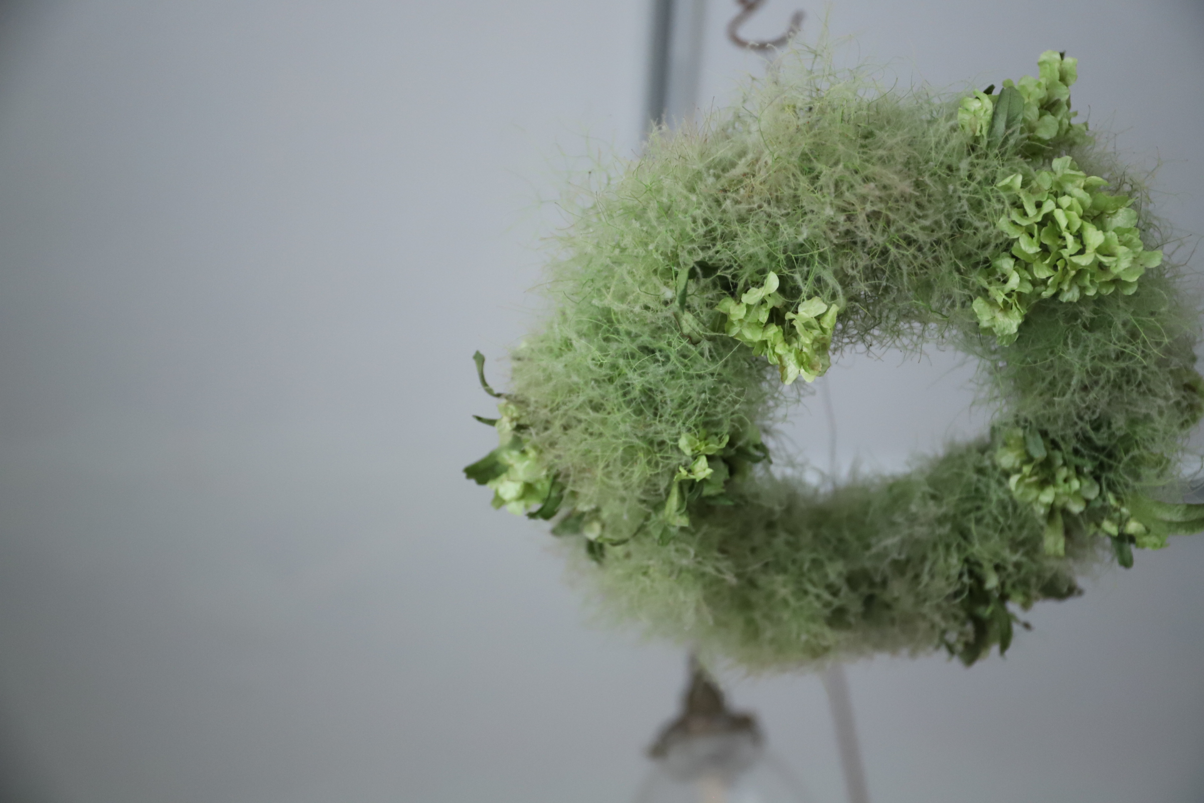 スモークツリー Frying wreath<B> | tsumugi．