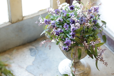 ブリキの鉢のエレガントな寄せ植え