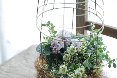 バードケージハンギングの寄せ植え＜パープル＞