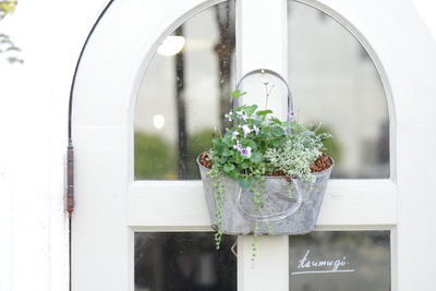 バック型のブリキの寄せ植え（壁掛けOK)