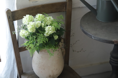 爽やかグリーンの寄せ植え（鉢違いバージョン）