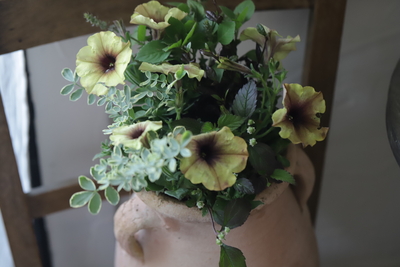 チュニジアポットのモダンな寄せ植え