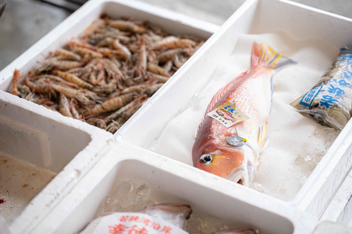 産地仲卸自慢の天然鮮魚セット | 加福鮮魚公式online