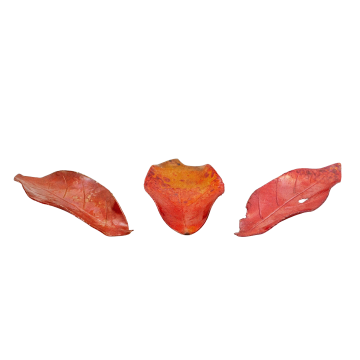 木の葉の箸置き　ゆらぎ　3点セット