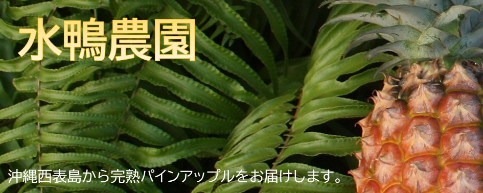 ピーチパイン6kg 贈答用フルーツキャップ付 | 水鴨農園