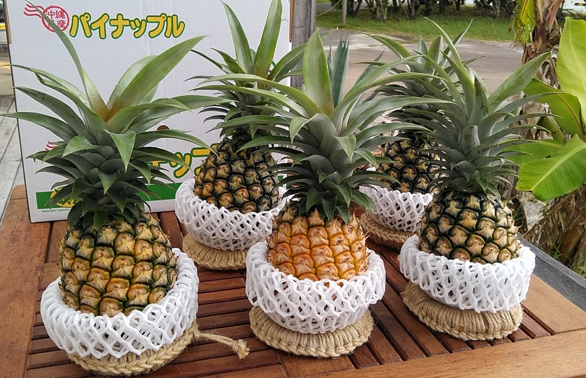 おすすめパイン9kg 贈答用フルーツキャップ付 | 水鴨農園