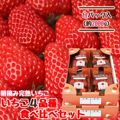 【送料無料】朝摘み完熟いちご 4品種食べ比べセット 250g×8パック