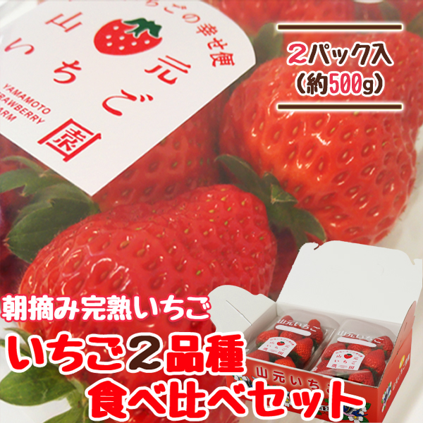 朝摘み完熟いちご 2品種食べ比べセット 250g×2パック | 山元いちご