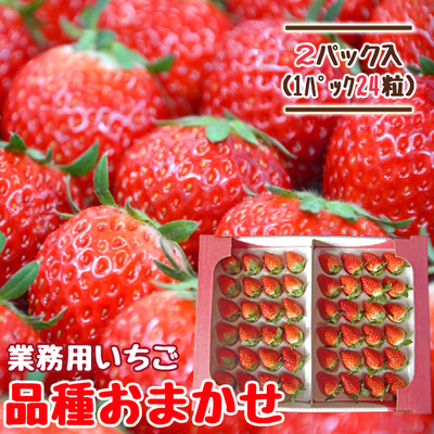 【送料無料】朝摘み完熟いちご 24粒&times;2パック 業務用 品種おまかせ 