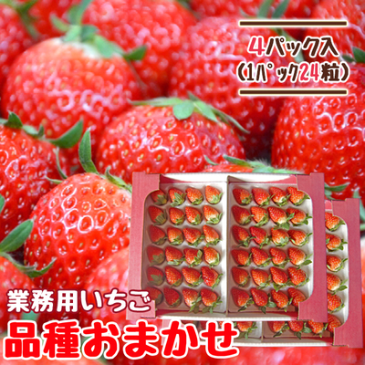 【送料無料】朝摘み完熟いちご 24粒&times;4パック 業務用 品種おまかせ 