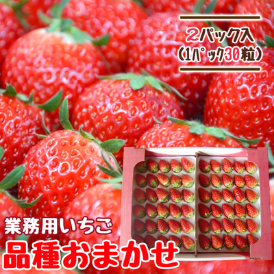 【送料無料】朝摘み完熟いちご 30粒&times;2パック 業務用 品種おまかせ 