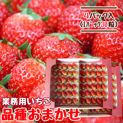 【送料無料】朝摘み完熟いちご 30粒&times;4パック 業務用 品種おまかせ 
