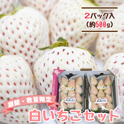 【期間・数量限定】【送料無料】白いちご 250g&times;2パック 平詰め 贈答用 
