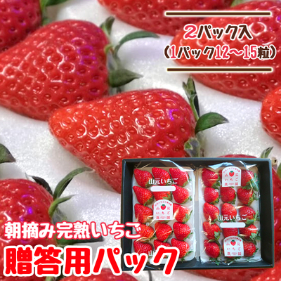 【送料無料】朝摘み完熟いちご 品種おまかせ大粒 12～15粒 2パック
