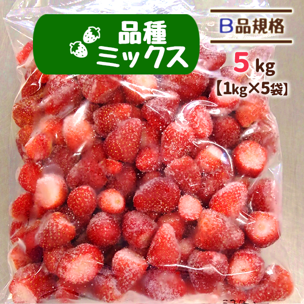 冷凍いちご B品 5kg 宮城県 山元 いちご もういっこ にこにこベリー