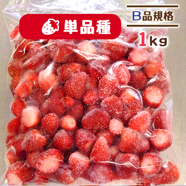 冷凍いちご B品 1kg 宮城県 山元 いちご もういっこ にこにこベリー
