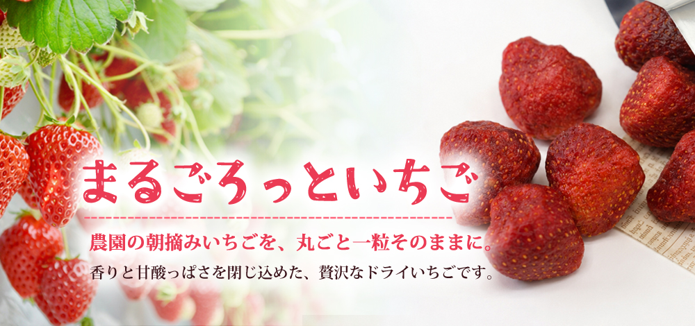 まるごろっと