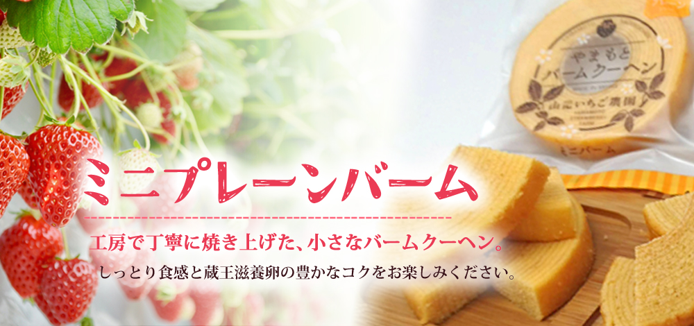 ミニプレーンバーム