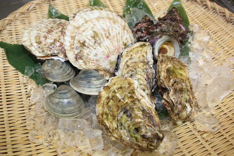 ヒルナンデス で紹介 渡辺商店自慢の貝セット 小 渡辺商店ウェブストア