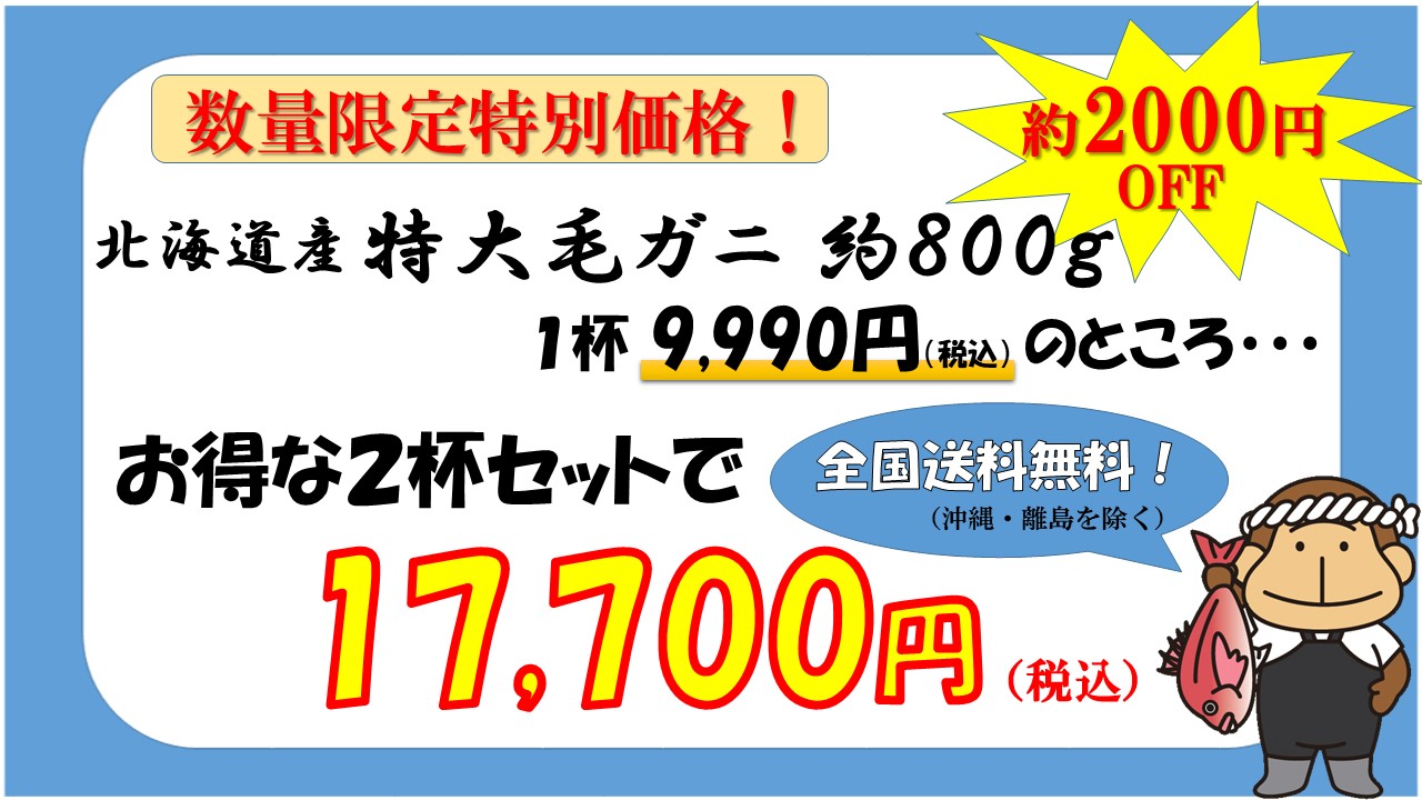 ☆期間限定の特別価格！☆北海道産 特大毛ガニ（約800g）2杯セット【丸