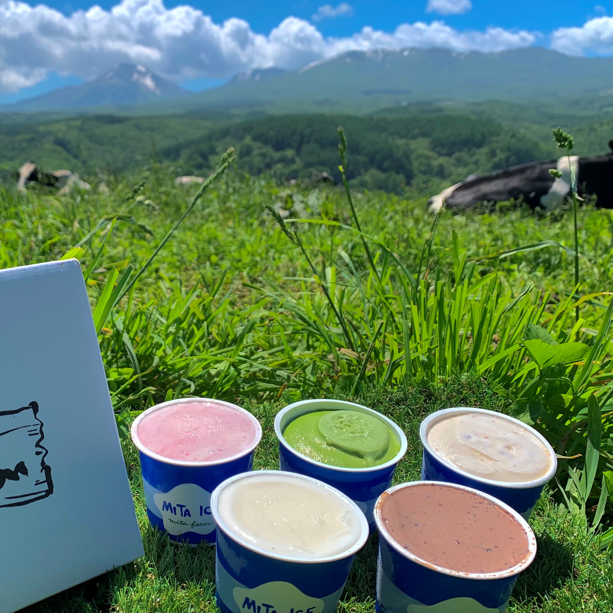 三田 北のハイグレード食品2020」受賞！ 三田牧場 三田アイス 幸せギフトセット【三田農林】 | HBCショップ |北海道の旬を発信します