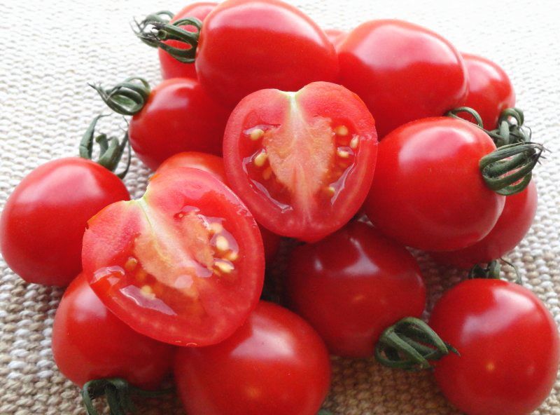 今日ドキッ で放送されました 北海道名寄産 果実みたいなミニトマト トマトベリー お得な訳あり品 ウェーブ Hbcショップ 北海道の旬を発信します