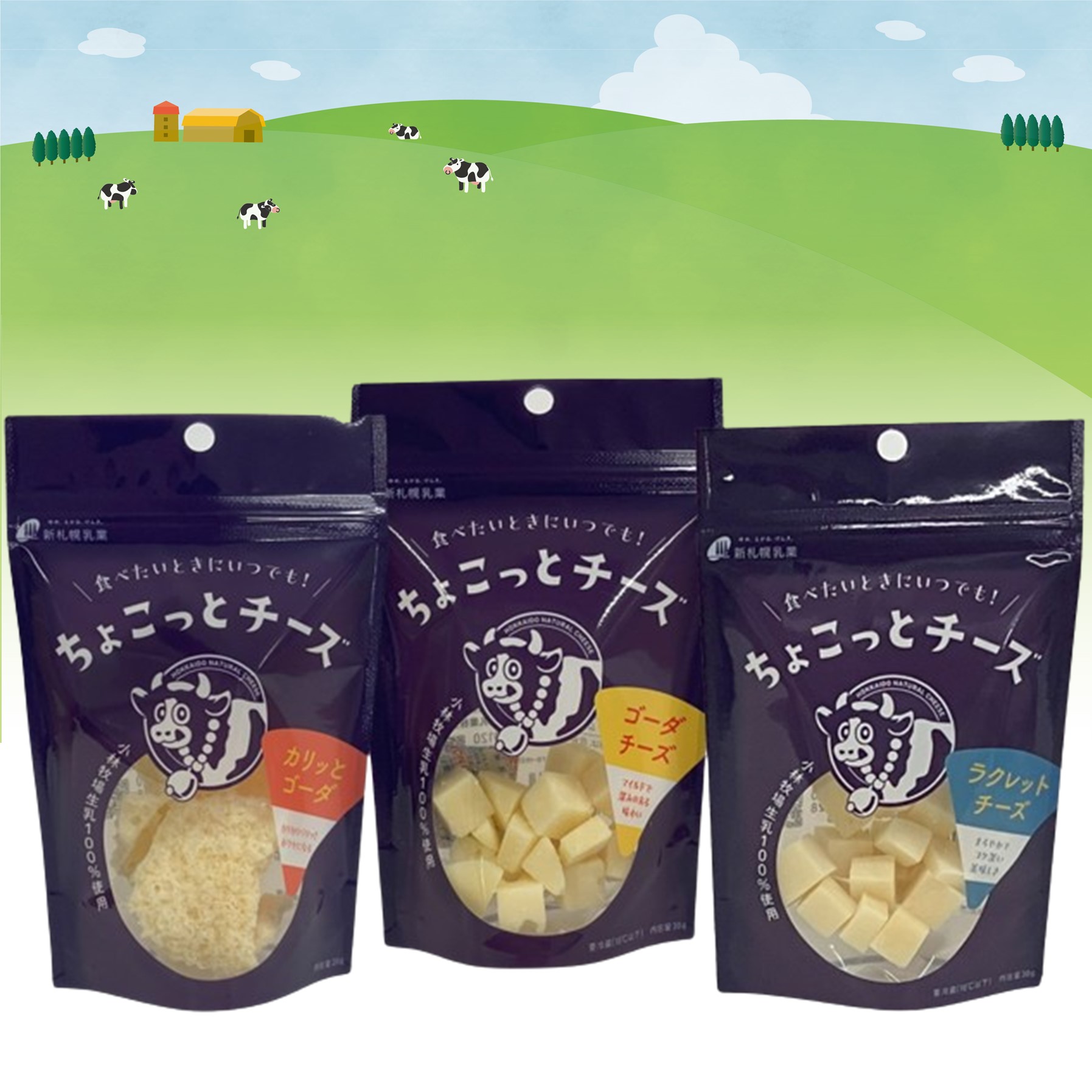 北海道 小林牧場物語 ちょこっとチーズ3種セット【新札幌乳業】 | HBC