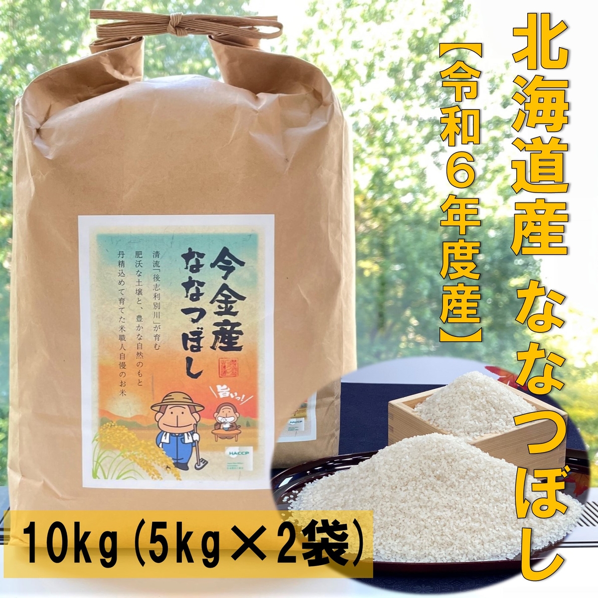 2024年10月北海道 で収穫した 松の実5kg image?filename=8f1086f4-8a28-