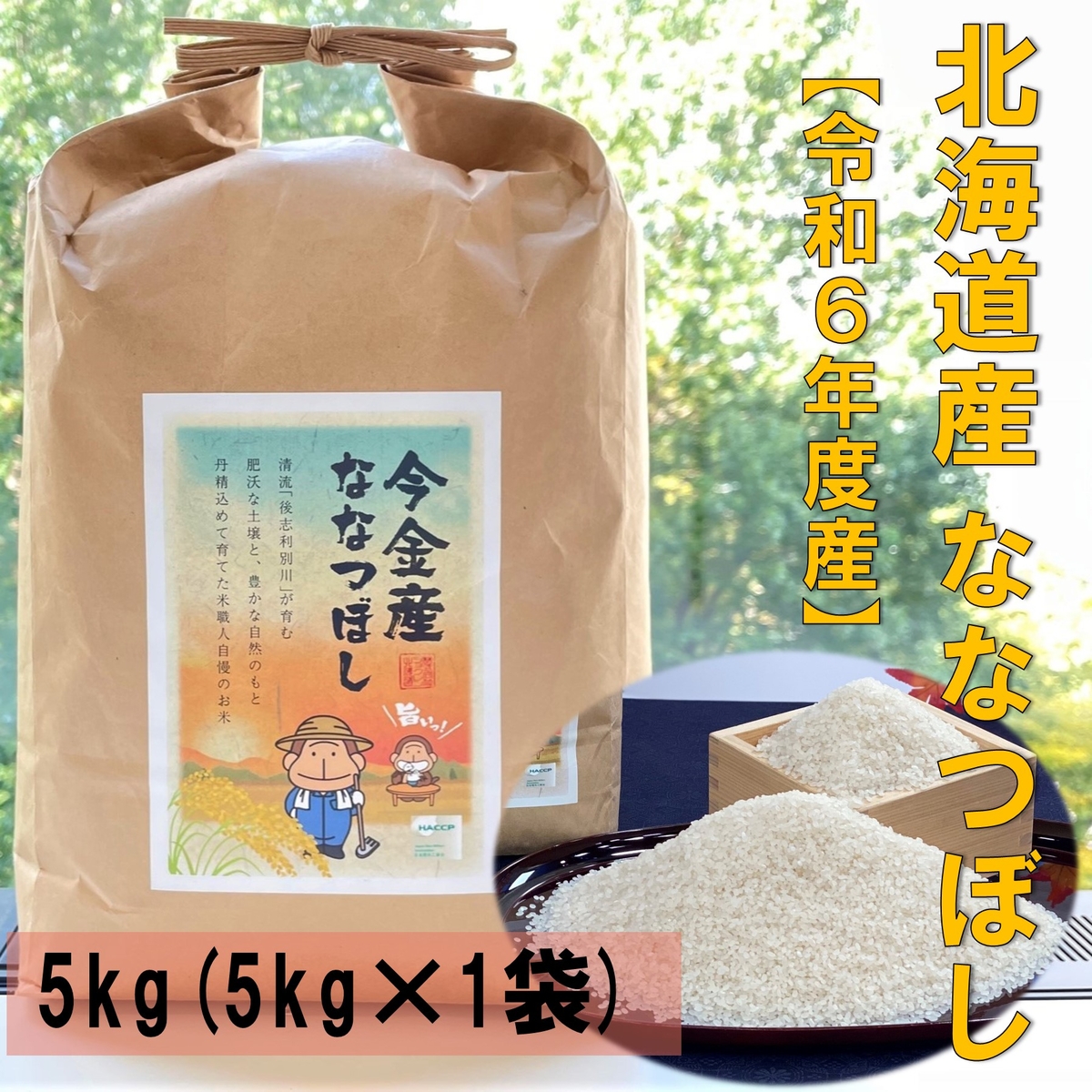 北海道産ななつぼし 10キロ×2袋⑧