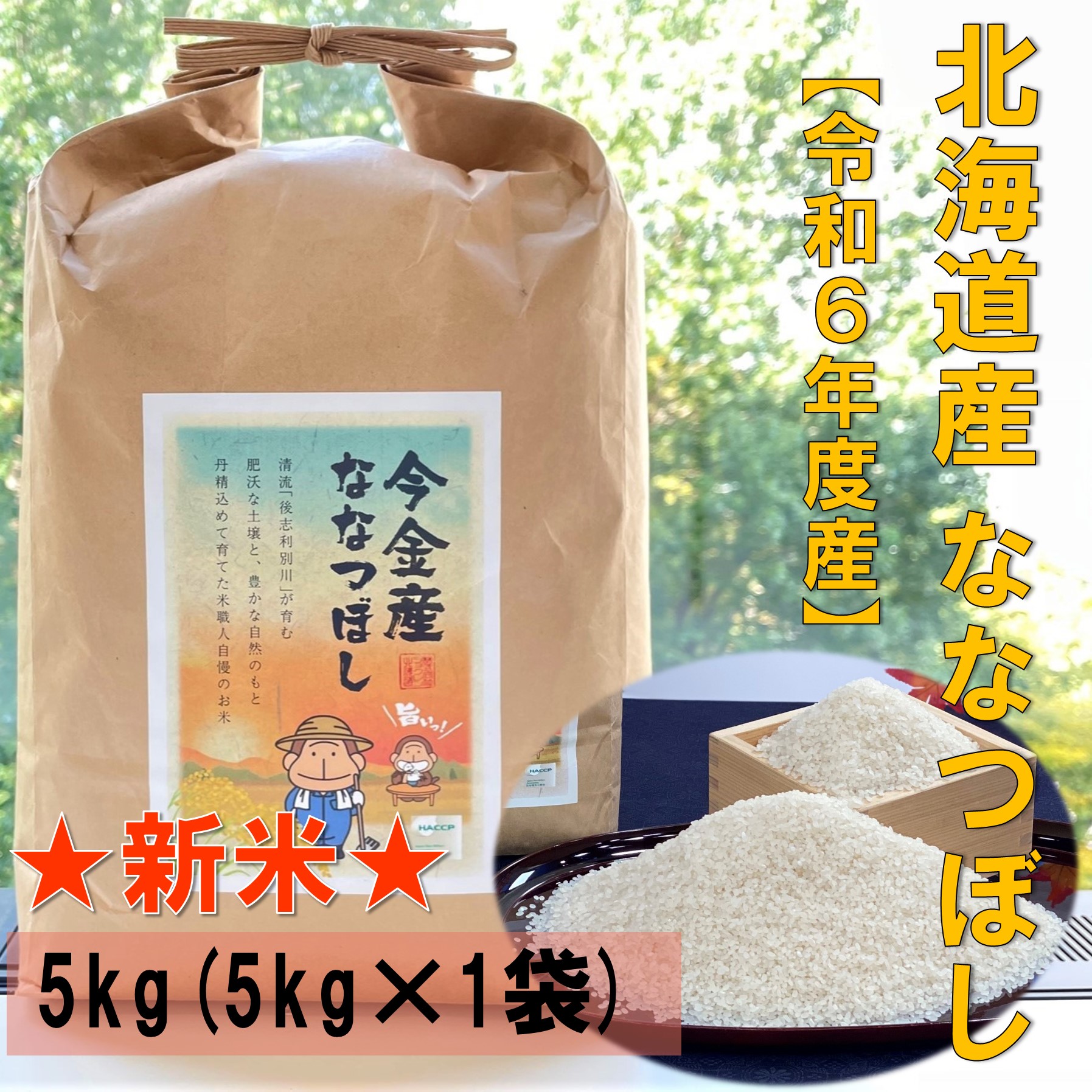 令和6年度産 北海道 今金産 精米 新米ななつぼし（5kg）限定 