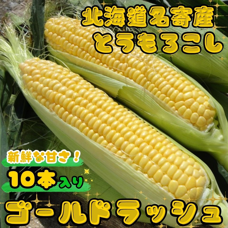 ３１００円！朝採れ発送！生でも食べられる「ゴールドラッシュ」クール便対応 生でも食べられる とうもろこし ゴールドラッシュ【ウェーブ