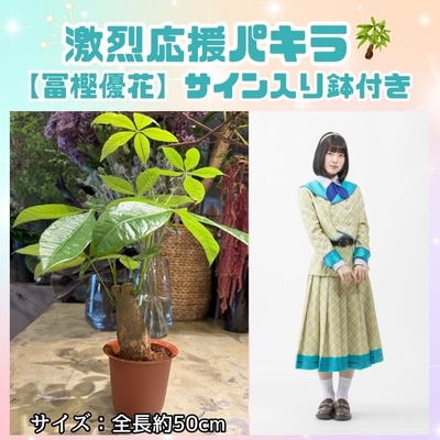 ＜タイトル未定のパキラっしゅ★＞冨樫優花　激烈応援パキラ