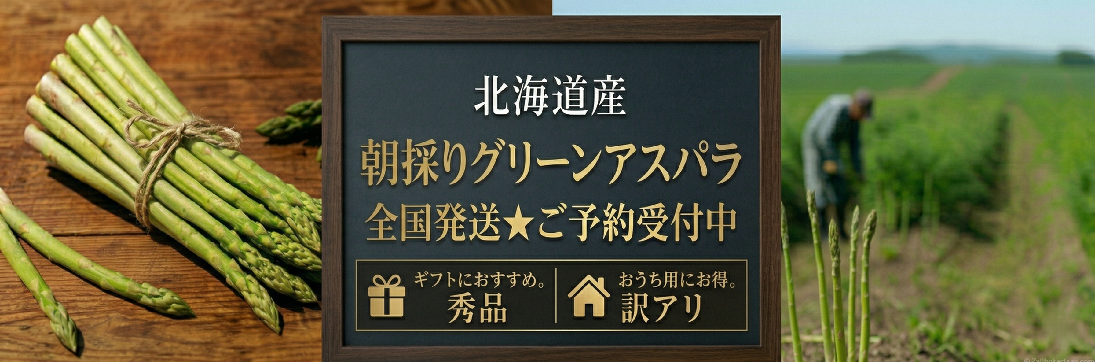 予約受付中！北海道の旬！新鮮グリーンアスパラ