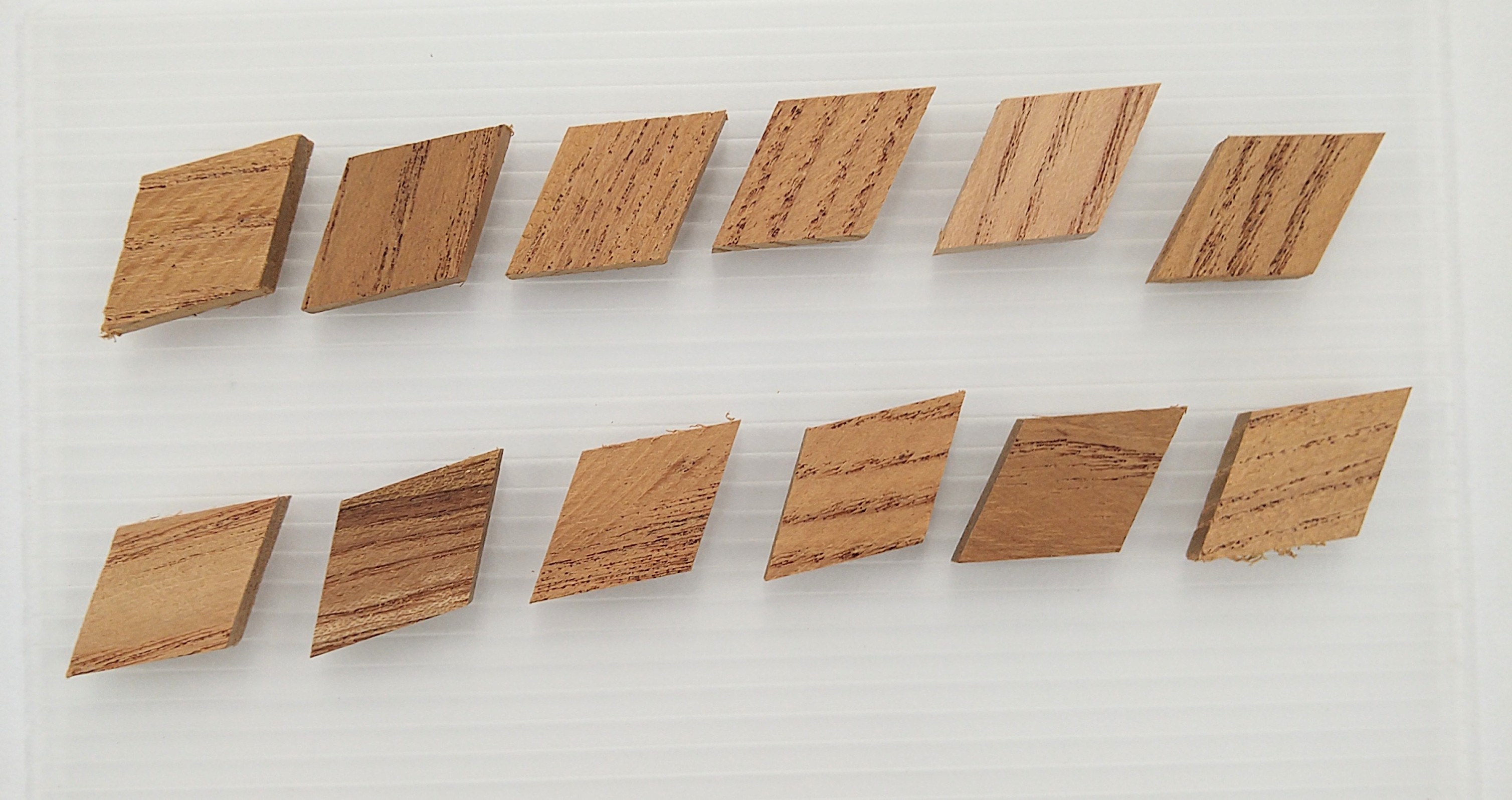 体験用パーツ ひし形 チャンチン 薄茶色 12ピース 金指ウッドクラフト