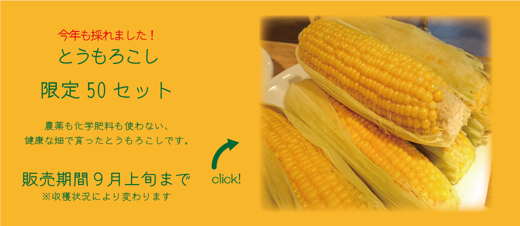 【50セット限定】 共働学舎の畑で採れたとうもろこし10本