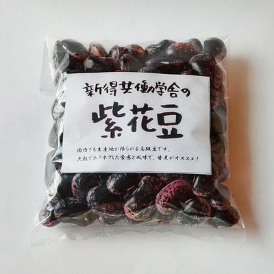 共働学舎の紫花豆 (200g)