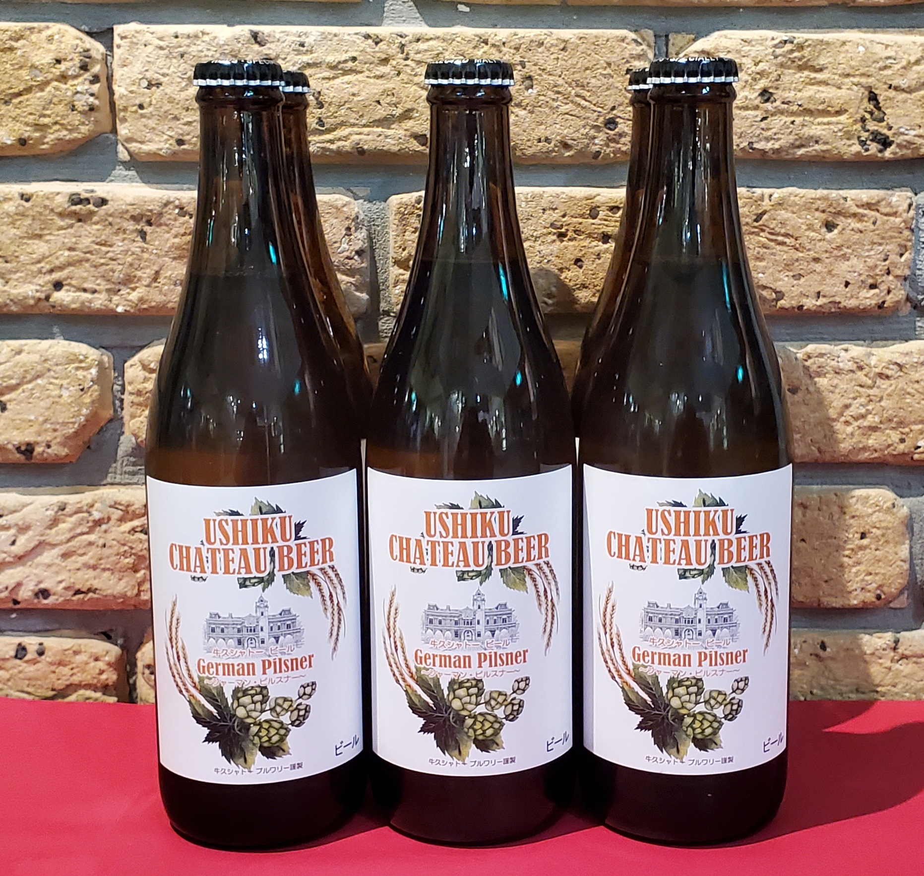 ジャーマン・ピルスナー 500ml 6本 | 牛久シャトー ショップ