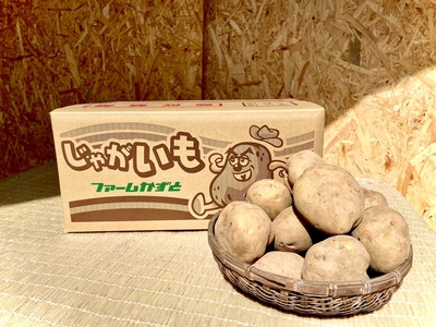 北海道産北あかり10キロ