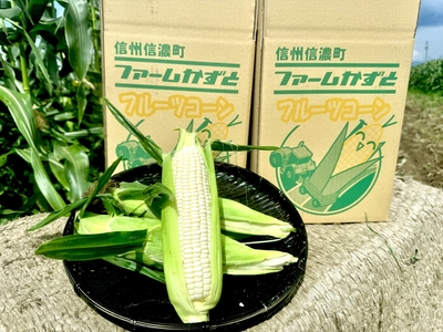 訳ありホワイトコーン雪の妖精 約5kg