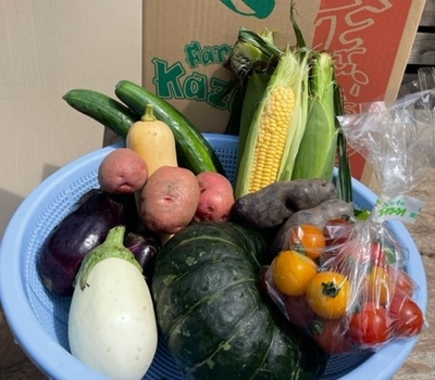 夏野菜セット