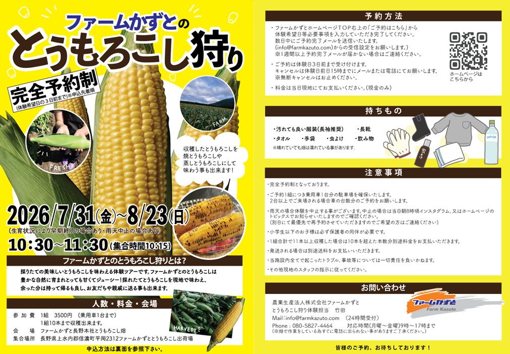 とうもろこし狩り体験始めました‼