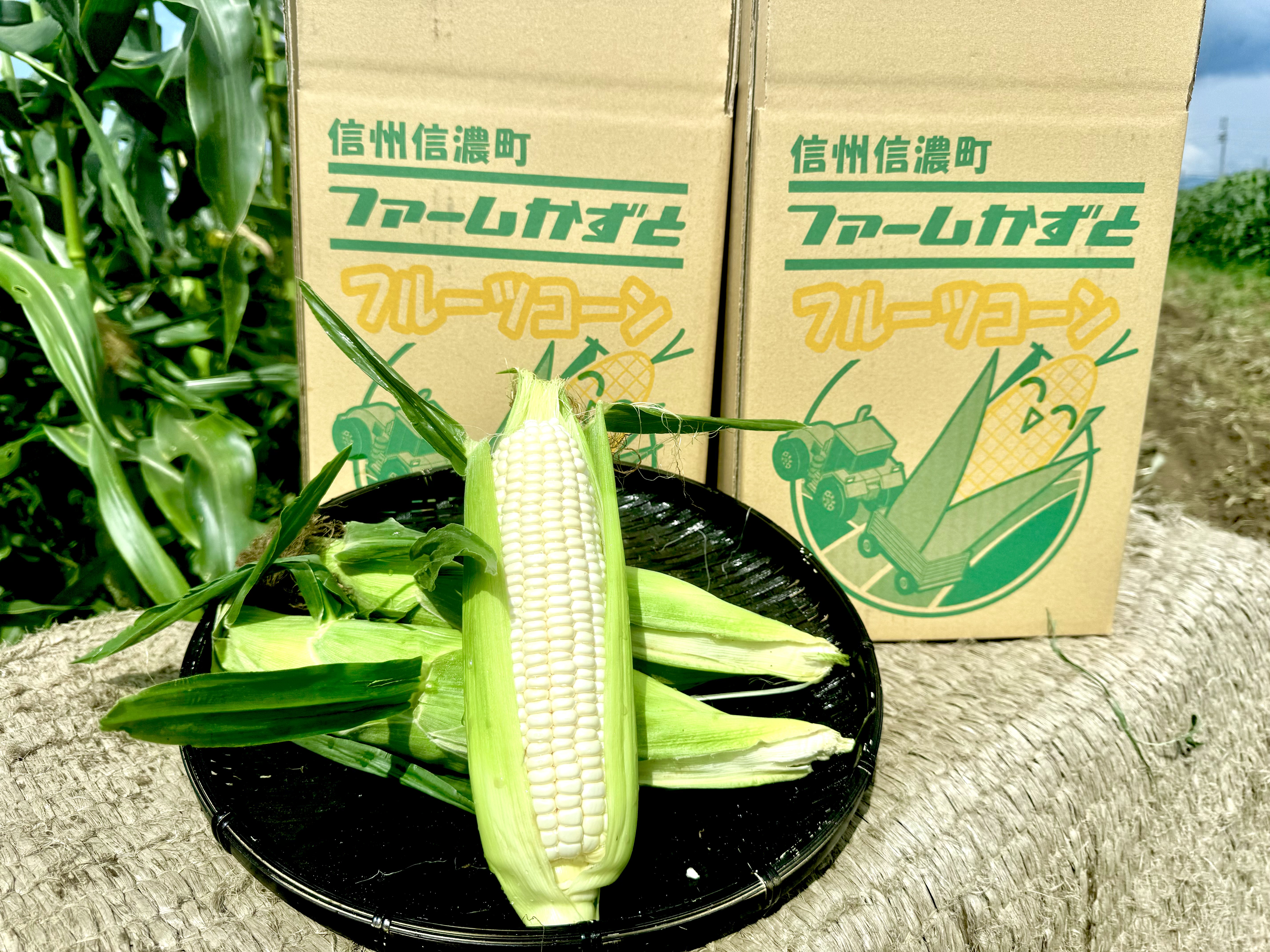トウモロコシのある静物 ジャン・ジャンセン 『とうもろこしのある静物』 ｜骨董品買取