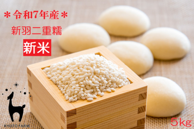 もち米 5㎏