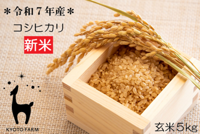 コシヒカリ玄米５kg