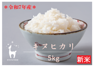 キヌヒカリ精米５kg