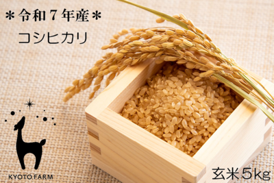 コシヒカリ玄米５kg